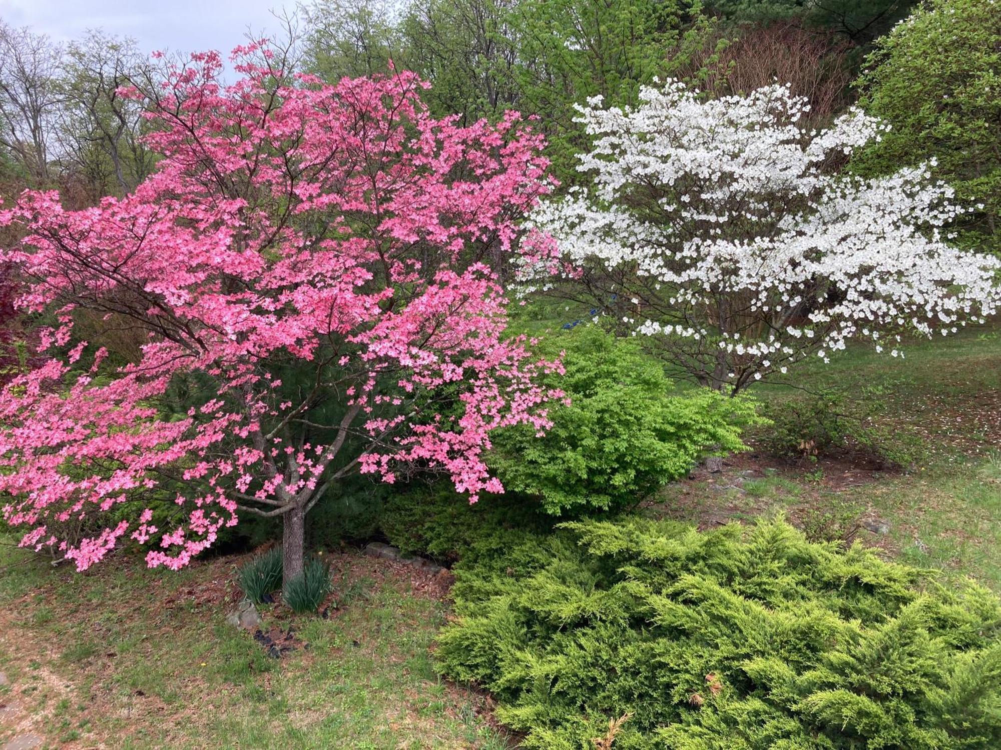 Purcellville Home Zewnętrze zdjęcie