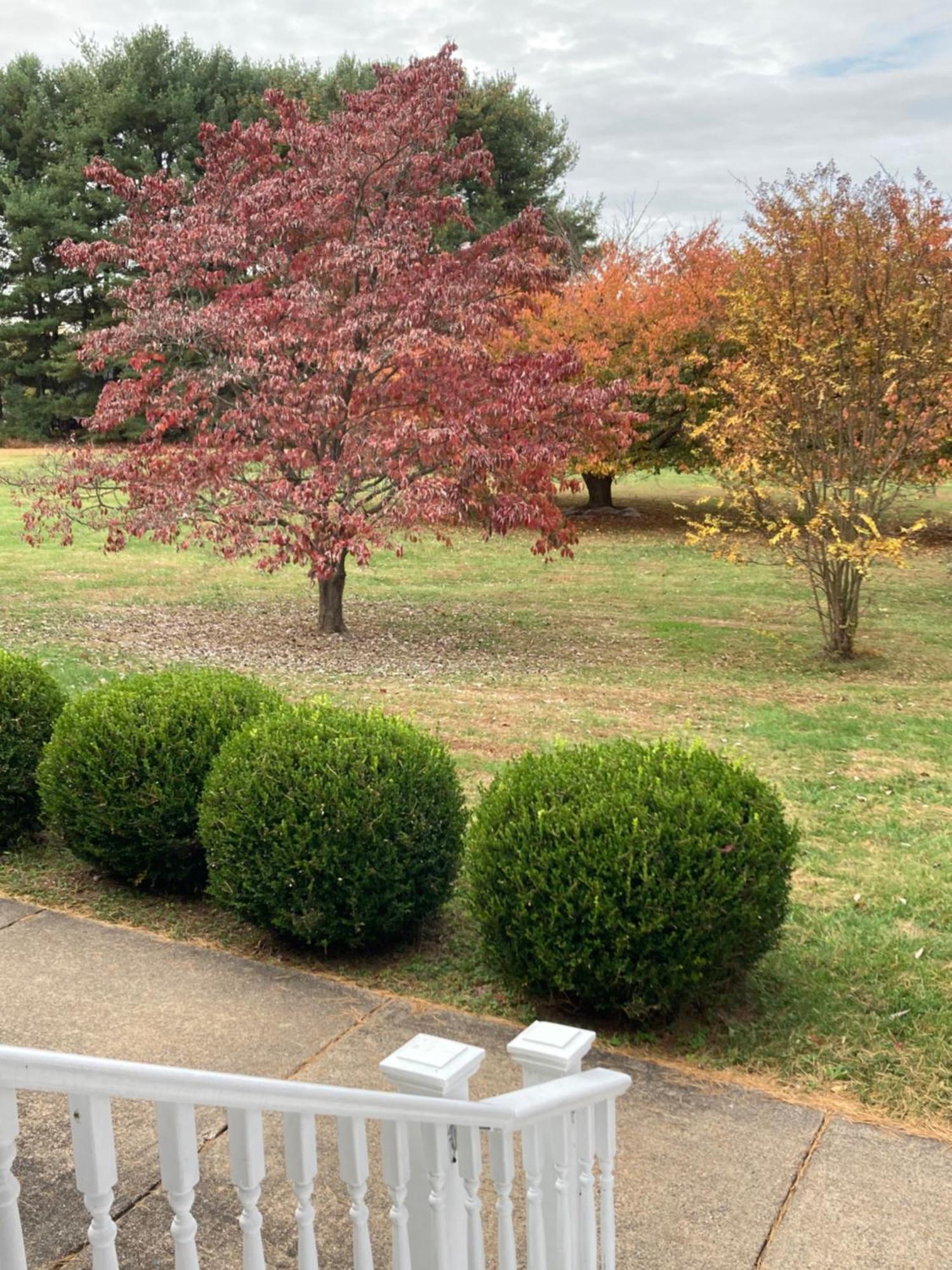 Purcellville Home Zewnętrze zdjęcie