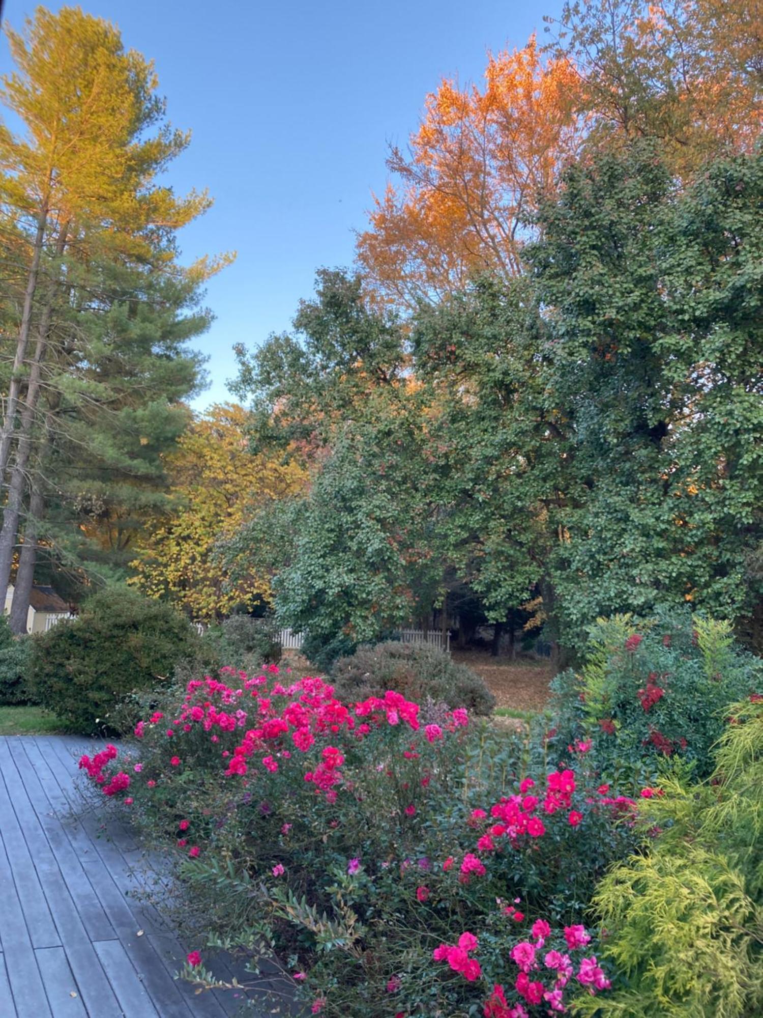 Purcellville Home Zewnętrze zdjęcie