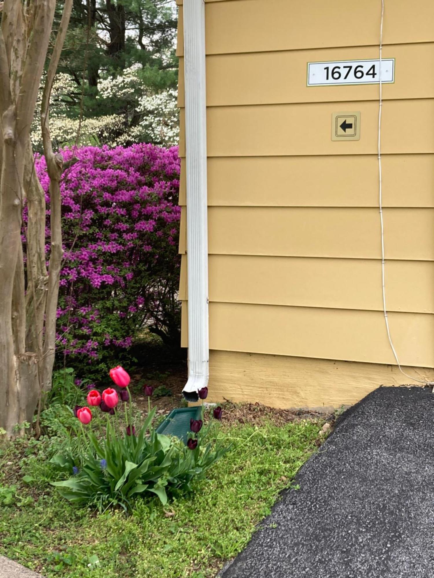Purcellville Home Zewnętrze zdjęcie